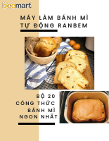 MLBM.pdf